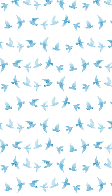 Store occultant fenêtre avec des oiseaux bleus
