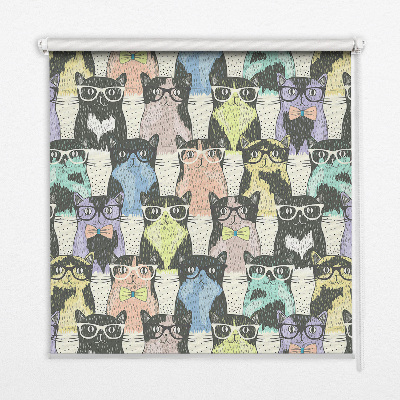 Store fenêtre intérieur pour chats