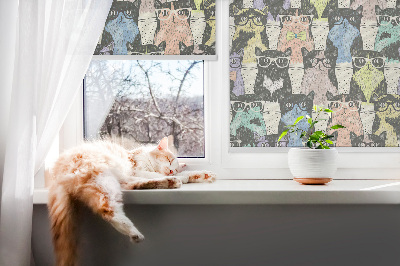 Store fenêtre intérieur pour chats