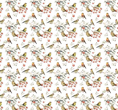 Store occultant fenêtre avec motif d’oiseaux sur les branches