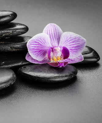 Store occultant fenêtre avec motif orchidée sur les pierres