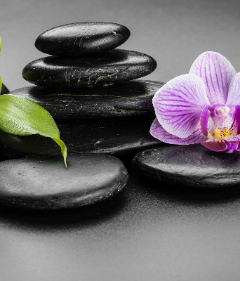 Store occultant fenêtre avec motif orchidée sur les pierres