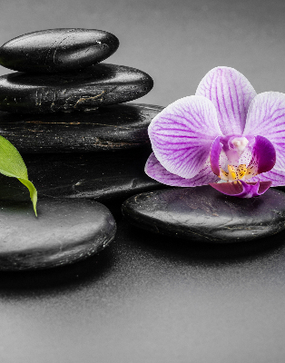 Store occultant fenêtre avec motif orchidée sur les pierres