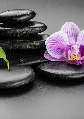 Store occultant fenêtre avec motif orchidée sur les pierres
