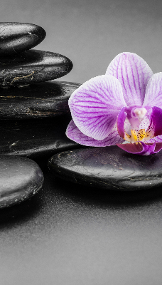 Store occultant fenêtre avec motif orchidée sur les pierres