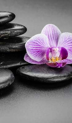 Store occultant fenêtre avec motif orchidée sur les pierres