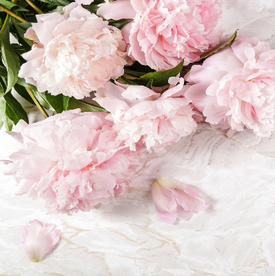 Store fenêtre intérieur fleurs