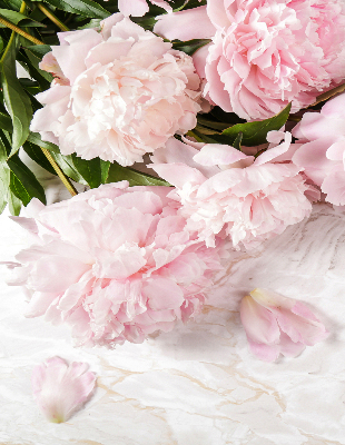 Store fenêtre intérieur fleurs