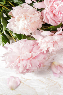 Store fenêtre intérieur fleurs