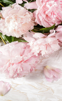 Store fenêtre intérieur fleurs