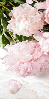 Store fenêtre intérieur fleurs