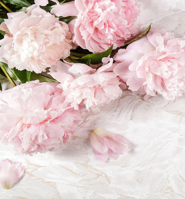 Store fenêtre intérieur fleurs