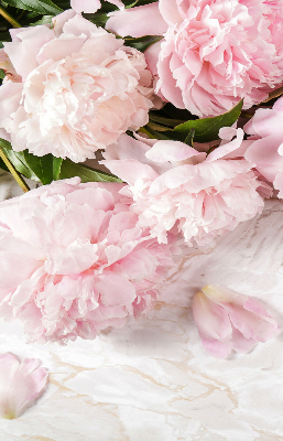 Store fenêtre intérieur fleurs