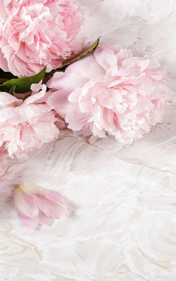 Store fenêtre intérieur fleurs