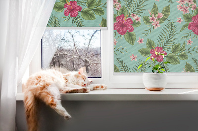 Store fenêtre intérieur pour plantes exotiques