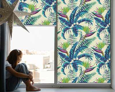 Store enrouleur occultant pour plantes tropicales