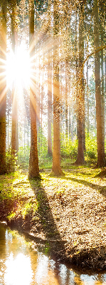 Store occultant fenêtre le soleil qui brille à travers les arbres