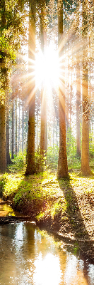 Store occultant fenêtre le soleil qui brille à travers les arbres
