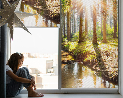 Store occultant fenêtre le soleil qui brille à travers les arbres