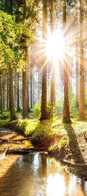 Store occultant fenêtre le soleil qui brille à travers les arbres