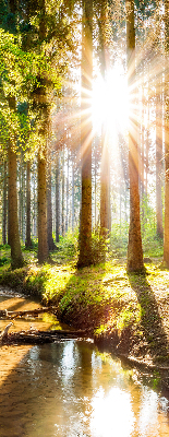 Store occultant fenêtre le soleil qui brille à travers les arbres
