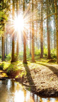 Store occultant fenêtre le soleil qui brille à travers les arbres