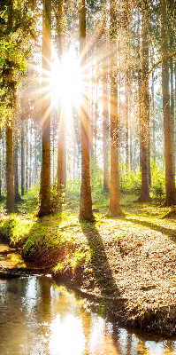 Store occultant fenêtre le soleil qui brille à travers les arbres