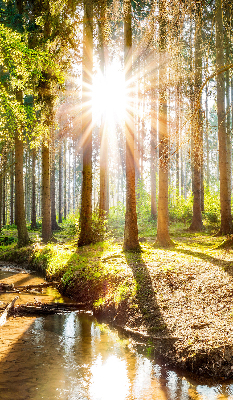 Store occultant fenêtre le soleil qui brille à travers les arbres