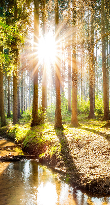 Store occultant fenêtre le soleil qui brille à travers les arbres