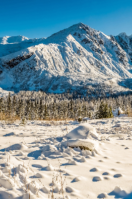 Store fenêtre intérieur montagnes