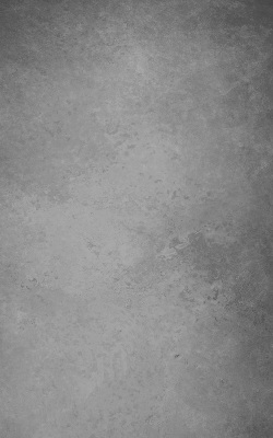 Store occultant fenetre en fumée grise