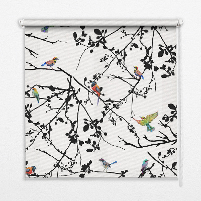 Store enrouleur occultant oiseaux sur les branches