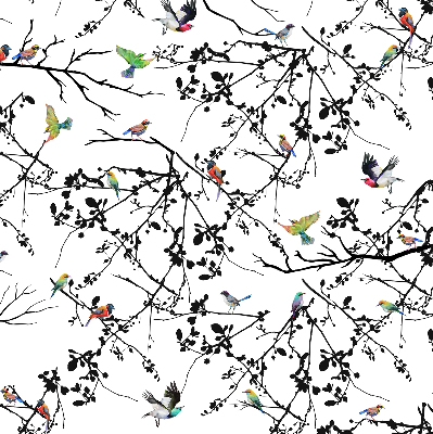 Store enrouleur occultant oiseaux sur les branches