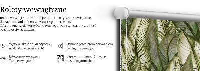 Store occultant fenetre feuilles