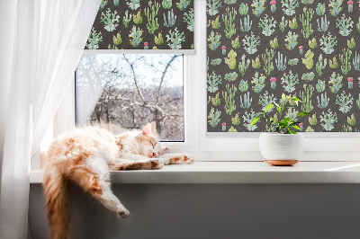 Store fenêtre intérieur cactus