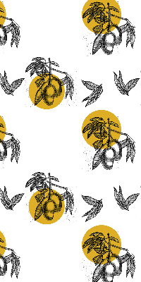 Store occultant fenêtre à motifs de fruits et de cercles jaunes