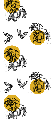 Store occultant fenêtre à motifs de fruits et de cercles jaunes