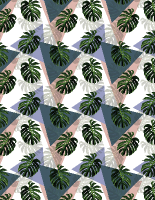 Store occultant fenêtre pour les feuilles de la plante
