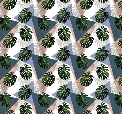 Store occultant fenêtre pour les feuilles de la plante