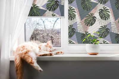 Store occultant fenêtre pour les feuilles de la plante