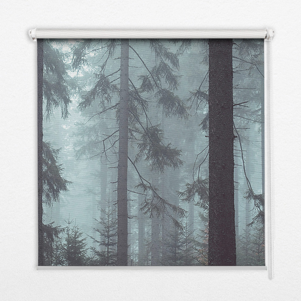 Store fenêtre intérieur la forêt la nuit