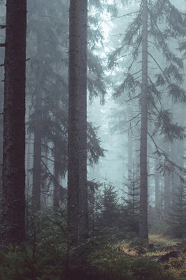 Store fenêtre intérieur la forêt la nuit