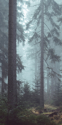Store fenêtre intérieur la forêt la nuit