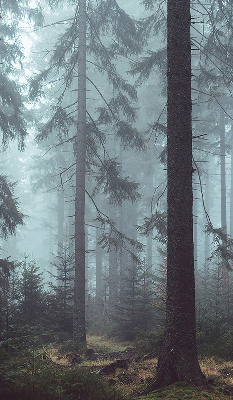 Store fenêtre intérieur la forêt la nuit