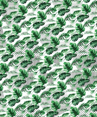 Store fenêtre intérieur feuilles tropicales