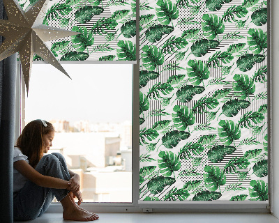 Store fenêtre intérieur feuilles tropicales