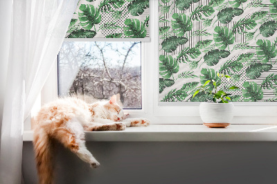 Store fenêtre intérieur feuilles tropicales