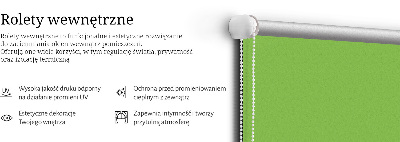 Store occultant fenêtre vert