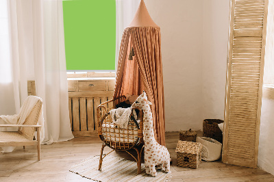 Store occultant fenêtre vert