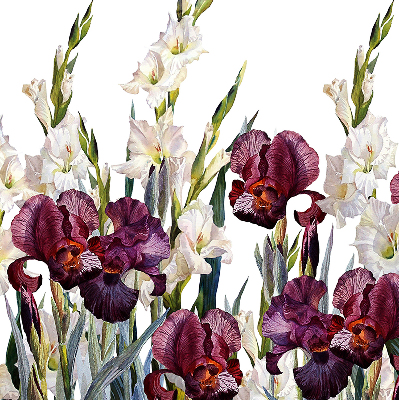Store fenêtre intérieur petites fleurs